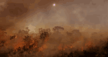 Forestfire From Http://Headlikeanorange.Tumblr.Com/ GIF - Forest Burning Fire GIFs