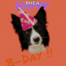 a black and white dog wearing a party hat with the words rhea happy b-day