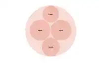 four circles with megan suzie roth and louise written on them