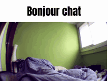 Norman Thavaud Pijon GIF - Norman Thavaud Pijon Bonjour Chat GIFs