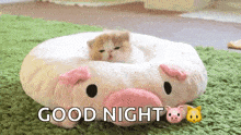 Kitten Pig GIF - Kitten Pig Nap GIFs