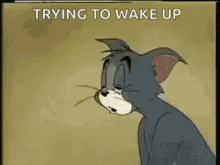 Sleepy Exhausted GIF - Sleepy Exhausted Tom And Jerry GIFs