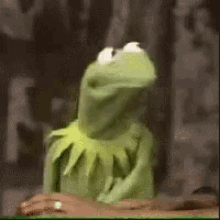Kermit The Frog Muppets GIF - Kermit The Frog Muppets Hmp GIFs