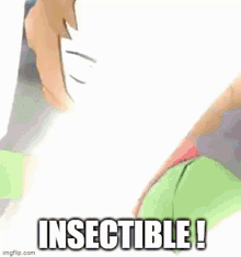 insectible incredible incroyable gym leader burgh pokemon burgh