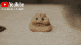 a youtube advertisement for cap bailey asmr with a hamster