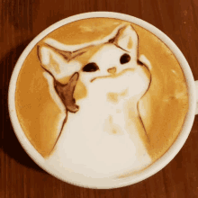 Pop Cat Coffee GIF - Pop Cat Coffee GIFs