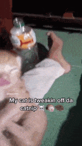 Catnip Meme GIF