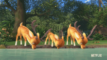 Deer Family GIF - Deer Family Thirsty GIFs