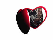 a heart shaped item with a picture of a cat on it