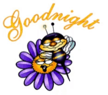 night bee