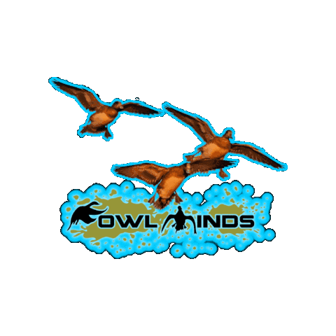 Fowl Minds Fowlminds Sticker - Fowl Minds Fowlminds Foulminds Stickers