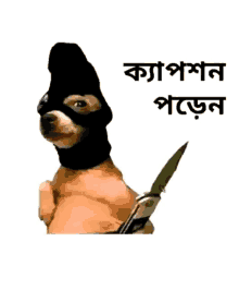Funny Dog GIF - Funny Dog Bangla GIFs