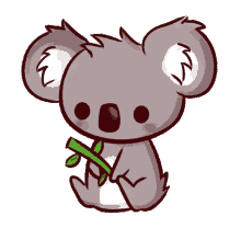 cute koala adorable save koalas bamboo