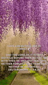 a picture of purple flowers and a quote from deuteronomy