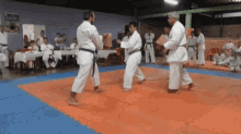 Karate Training GIF - Karate Training Breaking GIFs