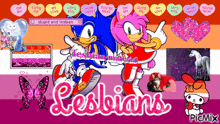 a picture of sonic and amy from the sonic the hedgehog series