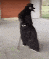 a man in a black coat and top hat is standing on a white chair .