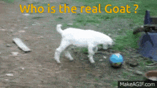 Football Goat Messi Vs Ronaldo GIF