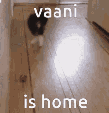 Vaani Is Home Vaani Came Home GIF - Vaani Is Home Vaani Came Home Iamvoice Came Home GIFs