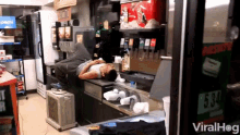 Passed Out Tired GIF - Passed Out Tired Soda Fountain GIFs