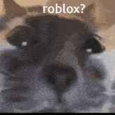 Cat Roblox GIF - Cat Roblox GIFs