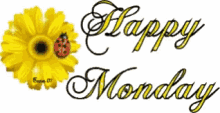 Happy Monday Yellow Flower GIF - Happy Monday Yellow Flower Lady Bug GIFs