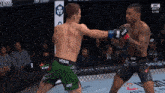 two men are fighting in a cage and one of them is wearing shorts that say venum