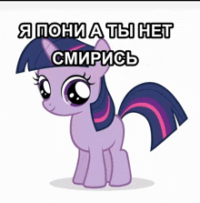 twilight sparkle from my little pony stands in front of a white background with russian writing