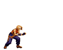 terry terry bogard kof king of fighters capcom