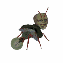 insect grotesque