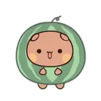 a cartoon drawing of a watermelon with a bear inside of it