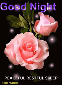 Good Night Pink Rose GIF