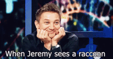Jeremy Renner GIF - Jeremy Renner Raccoon GIFs