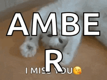 a picture of a dog with the words ambe r i miss you on it