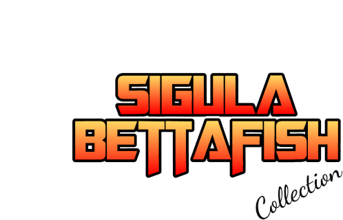 Sigulajawa Logo Sticker - Sigulajawa Logo Bettafish Stickers
