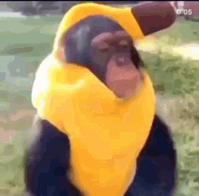 Monkey Banana GIF - Monkey Banana Bathtime GIFs