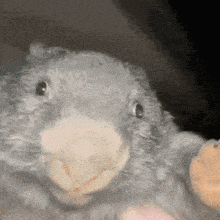 Wombat Reverse GIF - Wombat Reverse Spin GIFs