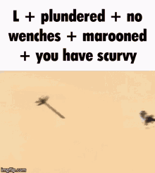 Plundered No Bitches GIF - Plundered No Bitches Marooned GIFs