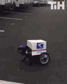 Her Comes The Mail Mail Dog GIF