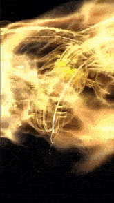 a close up of a painting with a black background and a lot of yellow lines