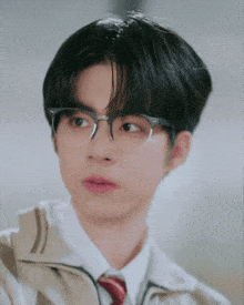 a close up of a man wearing glasses and a tie .