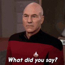 What Did You Say Jean Luc Picard GIF - What Did You Say Jean Luc Picard Star Trek GIFs