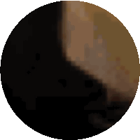 a pixelated image of a black circle with a brown border on a white background