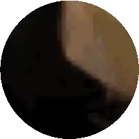 a pixelated image of a black circle with a brown border on a white background
