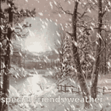 Snowfall Special Friends GIF - Snowfall Special Friends Weather GIFs