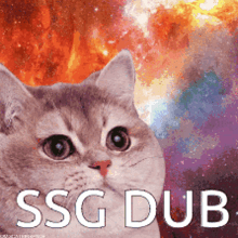 Ssg Dub GIF - Ssg Dub Spacestation GIFs