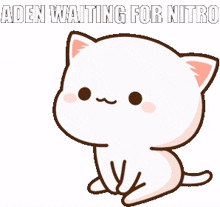 aden waiting for nitro aden nitro aden