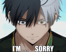 a close up of a anime character with the words i 'm sorry on the bottom