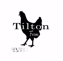 tilton farms tiltonfarms chickens cluck around cluck around and find out