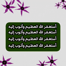purple flowers are surrounded by arabic text
